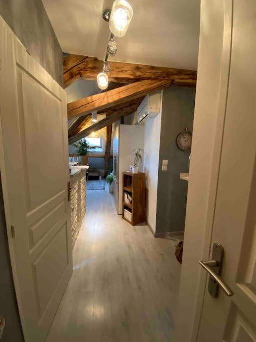 Gap : Centre Ville : Appartement Cosy Eksteriør billede