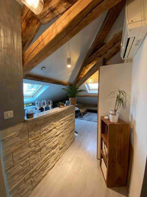 Gap : Centre Ville : Appartement Cosy Eksteriør billede